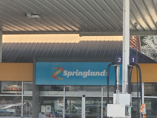 Z - Springlands - Service Station - Thumbnail