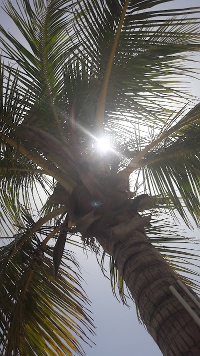 Photos of Corinthia Atlantic