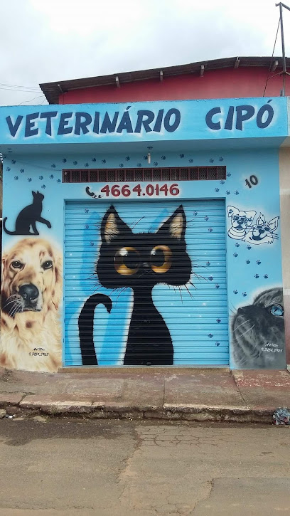 Clinica Veterinaria Cipó