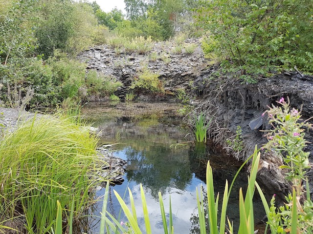 Parc des Ardoisières