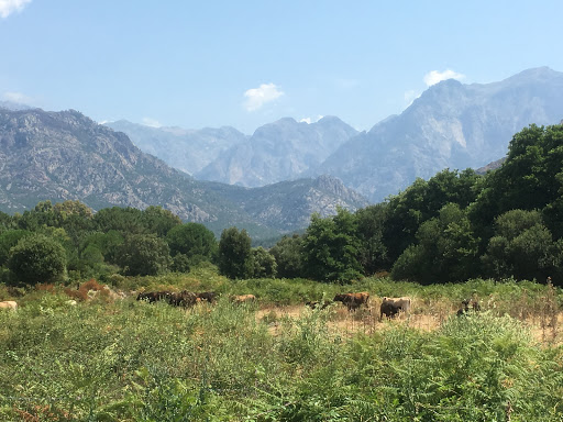 Photo 4 - O' Paradisu Ranch