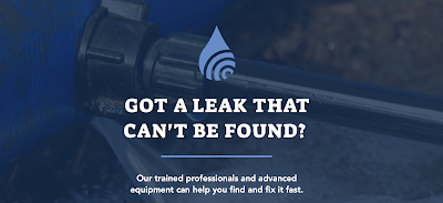 Detect-a-Leak MS | Leak Detection, Plumbing & Water Mitigation