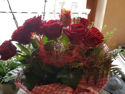 Blumen Ott - Visual