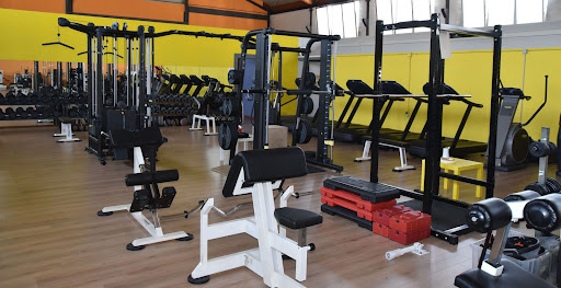 Palestra Kinesis