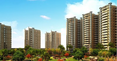 real-estate-agency