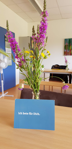 Tagesklinik Zerbst des Alexianer St. Joseph-Krankenhauses Dessau - Thumbnail