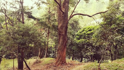 Photos of BoburuElla Reserve