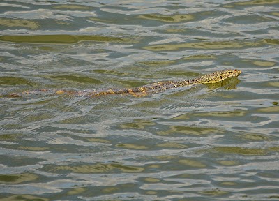 Photos of SILVERGLEN NATURE RESERVE