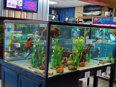 The Reef Aquarium Shop