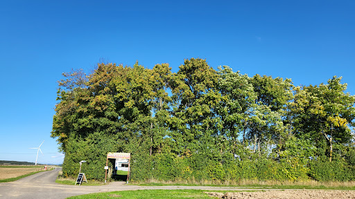 Biergarten zum Brückenhof - Thumbnail