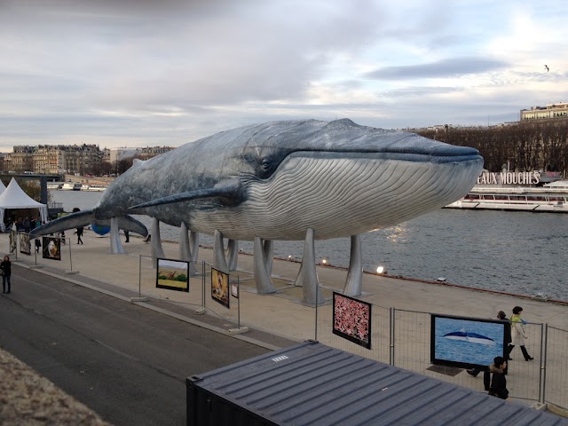 Port du Gros Caillou