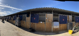 Photo n°13 de ECURIE ROMAIN DAVID / CAPPELLE EN PEVELE à Cappelle-en-Pévèle (Complexe sportif)