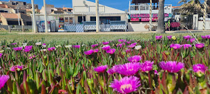 Photo n°30 de Ice Beach à Leucate (Restauration rapide)