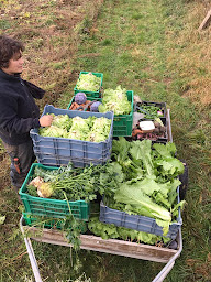 Photo n°2 de A Vatimont, On sème à Vatimont (Ferme bio)