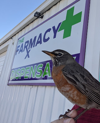 Photo of The Farmacy Dispensary