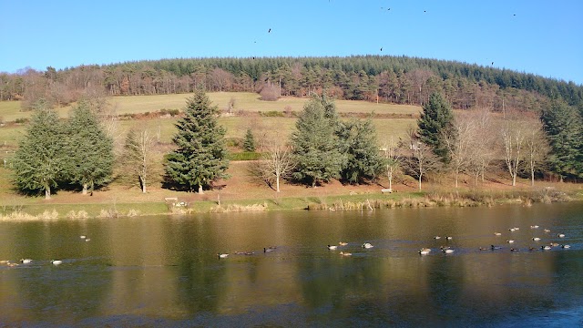 Yzeron