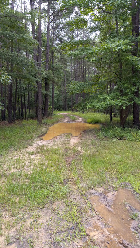 Neff Bluff 2 - Visual