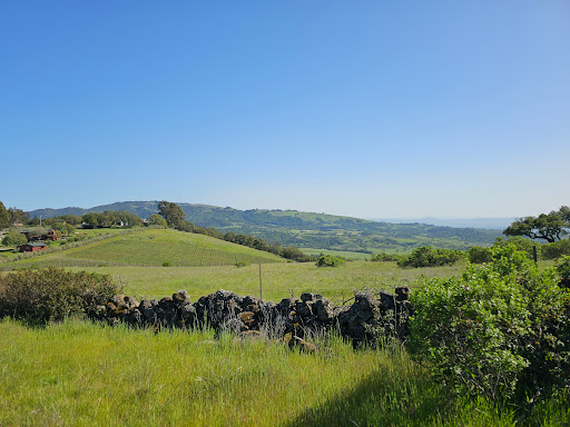 Trione-Annadel State Park - Thumbnail