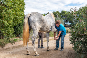 Photo n°4 de Clinique vétérinaire de Mazeran - Béziers - Sevetys à Béziers (Urgences vétérinaires)