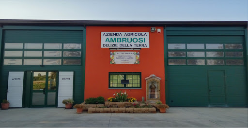 Azienda Agricola Ambruosi di Ambruosi Francesco - Thumbnail