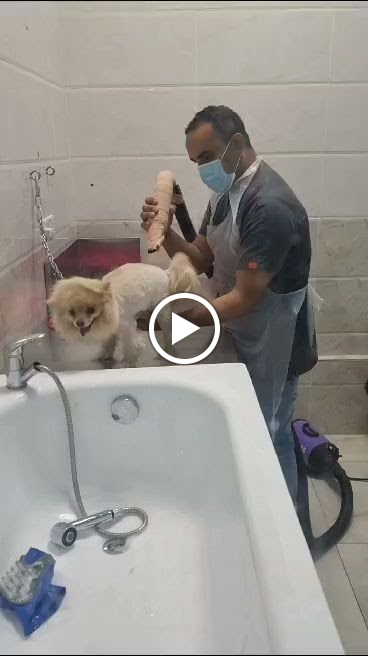 مركز سنابل الأندلس للرعاية البيطرية - صورة 3