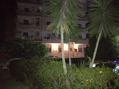 Photos of منتجع واحة النخيل
