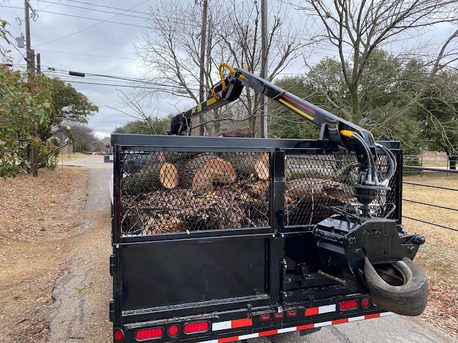 Bays Tree Service