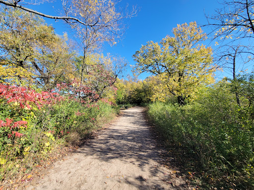 Picnic Point - Visual