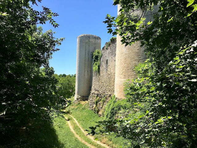 Château du Coudray-Salbart