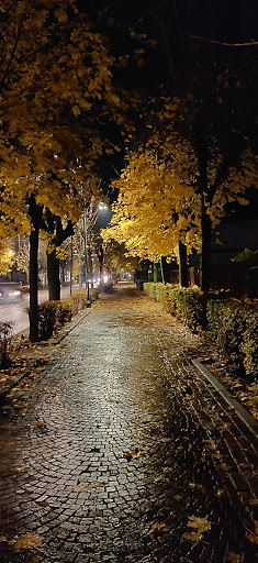 Pensini Giovanni - Thumbnail