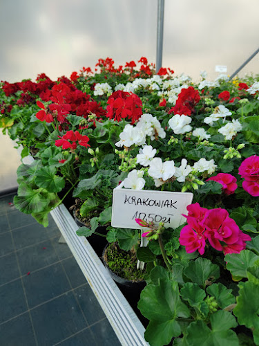 Comentarii opinii despre Centrum ogrodnicze MINI