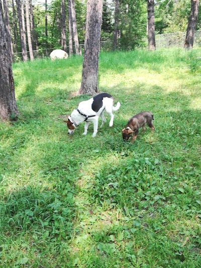 Eveleth Dog Park