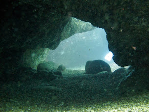 Photo n°16 de TECH OCEAN à Ciboure (Moniteur de plongée)