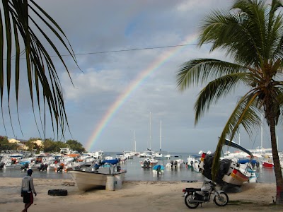 Photos of SeavisTours
