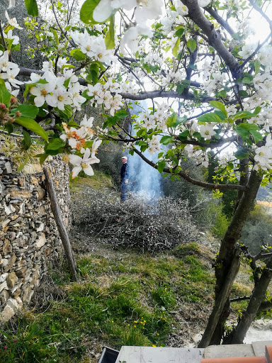 Tenuta Organica - Thumbnail
