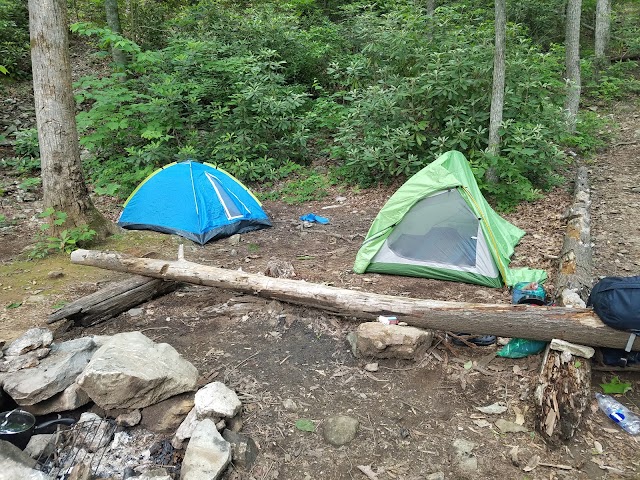 Linville Gorge Wilderness