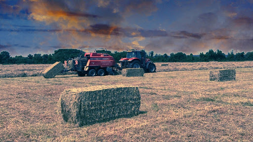 Button Farm - Visual