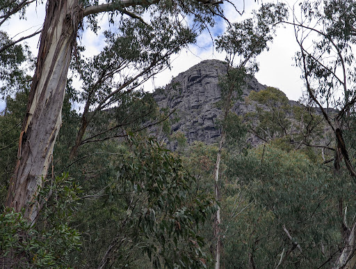 Bluff Walking Track - Thumbnail