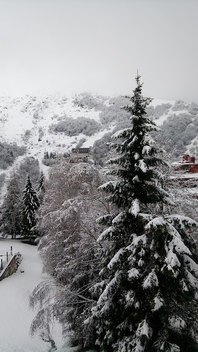 Photos of Hotel Marguareis Srl