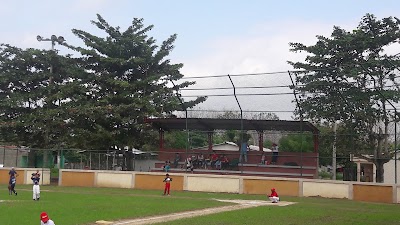 stadium