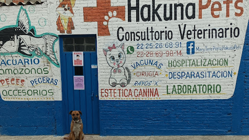Veterinaria Hakuna pets