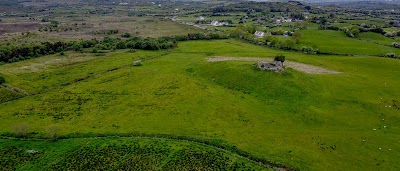Photos of MACE Westport
