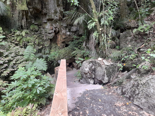 Milky Way Glow Worm Cave - Thumbnail