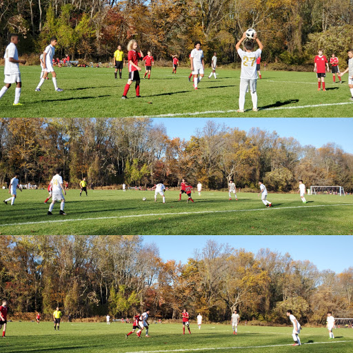 Fairview Fields - Visual
