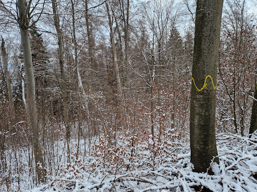 Albvorland Nürtingen-Kirchheim - Thumbnail