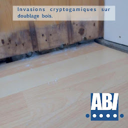 Photo n°6 de ABI (Assèchement Bretagne Injection) à Saint-Brieuc (Entrepreneur spécialisé dans les systèmes de CVC)