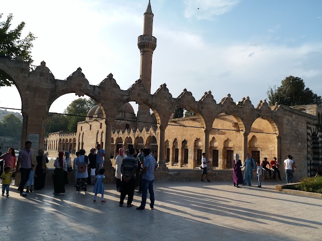 Fish Lake of Urfa