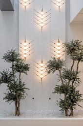 Photo n°3 de ORTHODONTIE VALENCE Dr COTTON et Dr MORRA, spécialistes en orthodontie (enfants et adultes) à Valence (Orthodontiste)