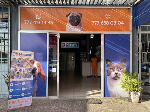 Hospital Veterinario Mascorp Temixco - Thumbnail