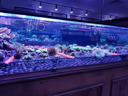 Reef Monsters - Thumbnail